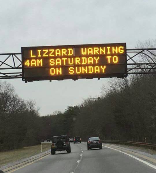 Lizzard warning
